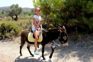 excursion dos d'âne à Rhodes